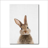 Bunny Rabbit Tail Canvas Painting Nursery Wall Art Animal Poster and Print Nordic Woodland Picture for Baby Kids Room Home Decor